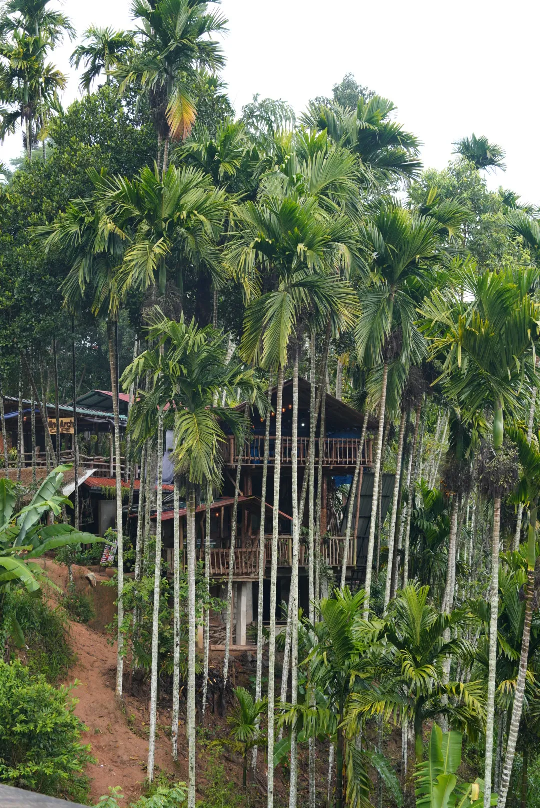Ella and Udawalawa